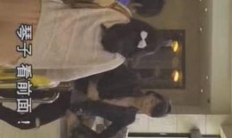 时间停止视频在线观看,揭秘时间停止视频的在线观看之旅